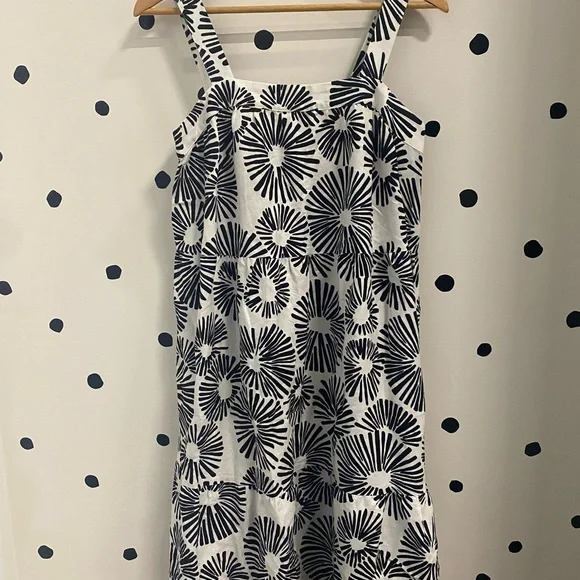 ann taylor loft black and white dress NWT Ann Taylor Loft Dress Size 6 The Fairy Circle Consignment Clothing